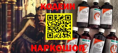 гашик Кингисепп