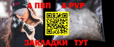 гашик Кингисепп