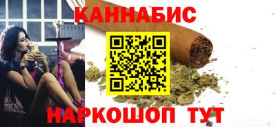 гашик Кингисепп