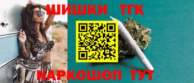 гашик Кингисепп
