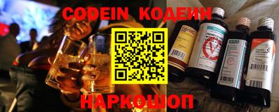 гашик Кингисепп