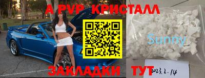 гашик Кингисепп