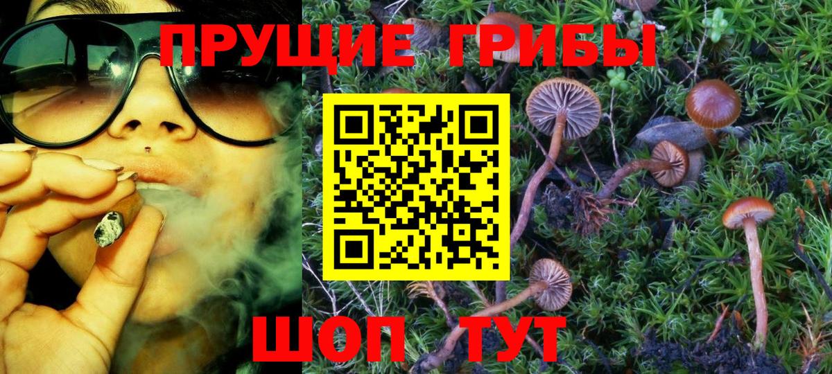 Джанкой  Псилоцибиновые грибы MAGIC MUSHROOMS  Вход с VPN  Псилоцибиновые грибы Psilocybe 
